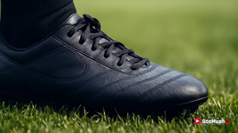 รวมไฮไลท์ ฟลาเมงโก vs พัลไมรัส ลีกอเมริกาใต้